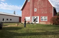 &nbsp;&nbsp;barn 1&nbsp;&nbsp;