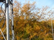   2012.09.30 16.33.42  