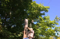   3 jason on the pole 2  