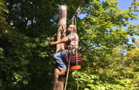   3 jason on the pole 3  