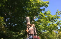   3 jason on the pole 4  