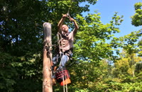   3 jason on the pole 5  