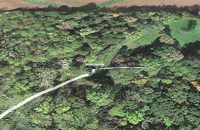   google earth 5  
