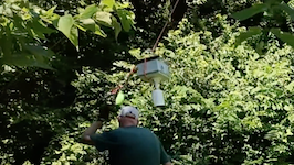   3 camera up.mov (457 MB)  