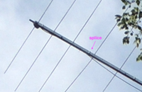   splice  