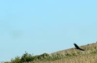 IMG_4400