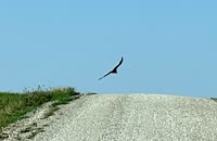 IMG_4402
