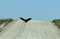 IMG_4403