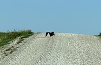 IMG_4404
