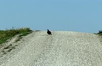 IMG_4405
