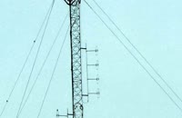   IMG_1361  