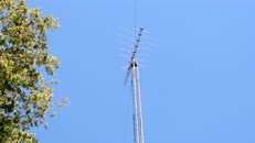 DSCN6121