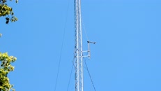 DSCN6122