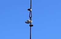 IMG_4610