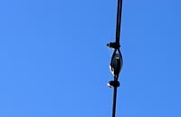 IMG_4614