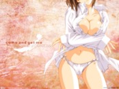 Ecchi Wallpapers 011