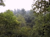 03 top of bluff near creek