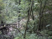 04 creek below