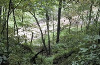 05 crags leading to creek