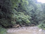 06 looking downstream