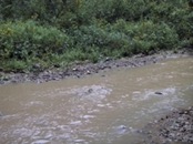 08 creek