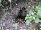 09 vent hole