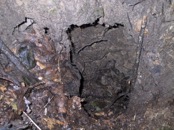11 vent hole