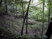 24 entrance from 40ft back