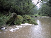 30 200 paces upstream