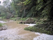 31 400 paces upstream
