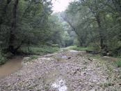 32 600 paces upstream