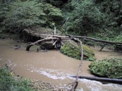 33 800 paces upstream