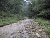 35 1200 paces upstream