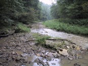 36 1300 paces upstream