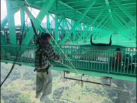 &nbsp;&nbsp;wheeeeeee.mp4 (2 MB)&nbsp;&nbsp;