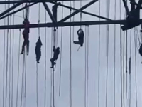 &nbsp;&nbsp;harness testers.mp4 (944 KB)&nbsp;&nbsp;