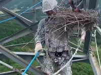 &nbsp;&nbsp;moving a crow nest.mp4 (6 MB)&nbsp;&nbsp;