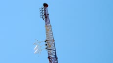   DSCN6134  