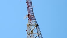   DSCN6135  