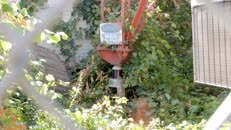   DSCN6149  