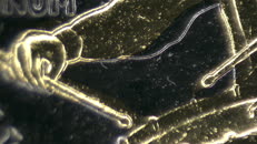 &nbsp;&nbsp;IMG00011&nbsp;&nbsp;