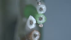 &nbsp;&nbsp;LVDS2&nbsp;&nbsp;