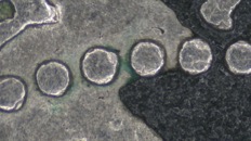 &nbsp;&nbsp;IMG00005&nbsp;&nbsp;