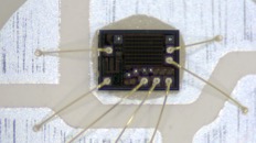 &nbsp;&nbsp;IMG00000&nbsp;&nbsp;