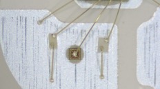 &nbsp;&nbsp;IMG00002&nbsp;&nbsp;