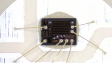 &nbsp;&nbsp;IMG00005&nbsp;&nbsp;