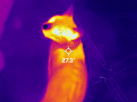 &nbsp;&nbsp;20220206T161459.MP4 (11 MB)&nbsp;&nbsp;