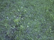   2006.08.05 17.21.02  