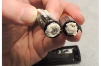 &nbsp;&nbsp;DSCN6549&nbsp;&nbsp;