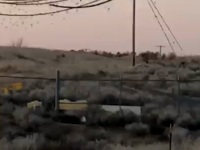   Birds go boom.mp4 (1146 KB)  